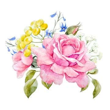 Watercolor roses composition Stock Illustration