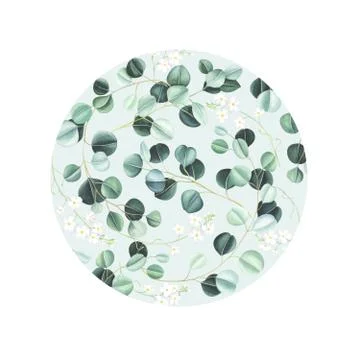 Watercolor round pattern with eucalyptus leaves and little white flowers Stock Illustration