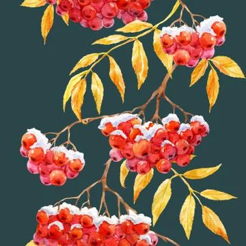 Watercolor rowan pattern Stock Illustration