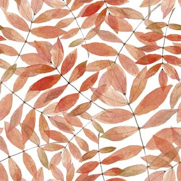 Watercolor rowan pattern Stock Illustration