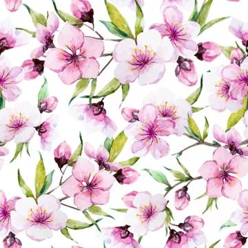 Watercolor sakura pattern Stock Illustration