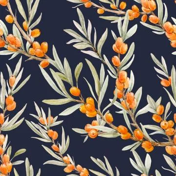 Watercolor sea buckthorn vector pattern Stock Illustration