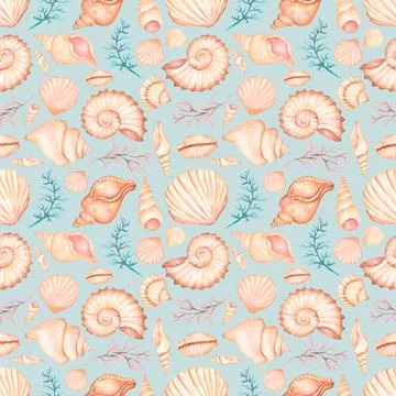 Watercolor sea shells seamless pattern, hand drawn summer ocen decor repeat Stock Illustration