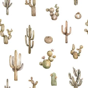 Watercolor seamless cactus pattern background. Cacti brown desert color banner Stock Illustration