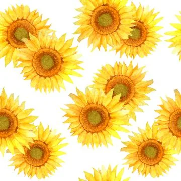 Watercolor seamless hand drawn pattern with realistic summer natural sunflowers Stock Illustration