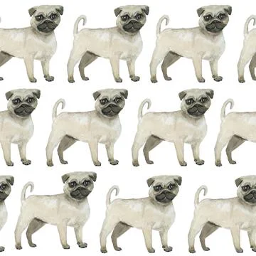Watercolor seamless hand drawn pattern with pugs dogs breed isolated on white Stock Illustration