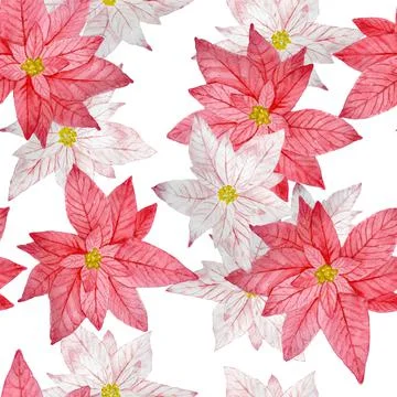 Watercolor seamless hand drawn pattern with pink red poinsettia flower Stock Illustration