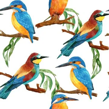Watercolor seamless hand drawn pattern with wild kingfisher bee-eater birds in Stock Illustration