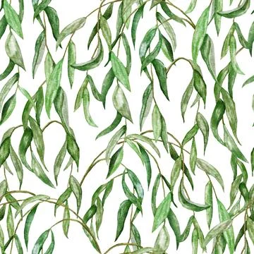 Watercolor seamless hand drawn pattern with green willow leaves branch leaf Stock Illustration