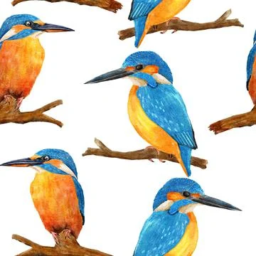 Watercolor seamless hand drawn pattern with wild kingfisher bee-eater birds in Stock Illustration