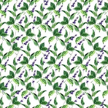 Watercolor seamless pattern with aromatic herbs and flowers Stock-Illustration