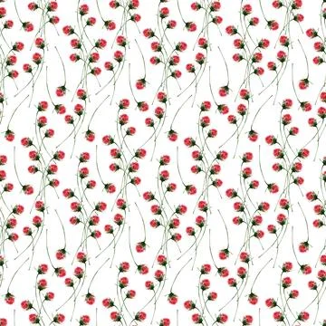 Watercolor seamless pattern with aromatic herbs and flowers Stock-Illustration