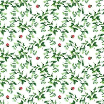 Watercolor seamless pattern with aromatic herbs and flowers Stock-Illustration