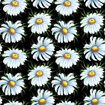 Watercolor seamless pattern with big chamomile flowers. Hand drawn beckground Illustrazione stock