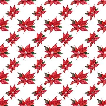 Watercolor seamless pattern with branches, leaves of blooming poinsettia Stock Illustration