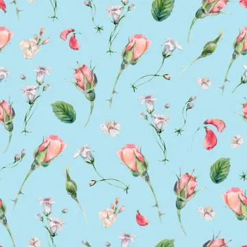 Watercolor seamless pattern with buds of rose Stock Illustration