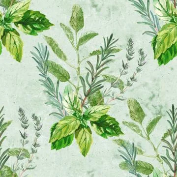 Watercolor seamless pattern with a bunch of fresh culinary and medicinal herbs Stock Illustration