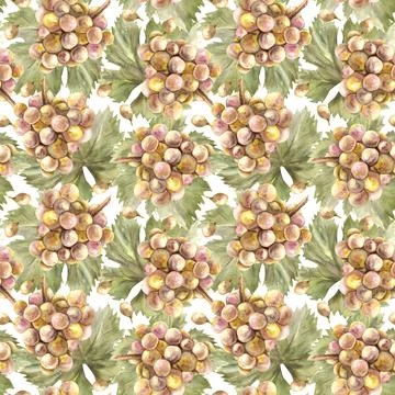 Watercolor seamless pattern bunch of green grapes leaves and grape berry Hand Illustrazione stock
