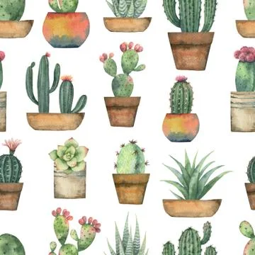 Watercolor seamless pattern of cacti and succulent plants isolated on white Stock Illustration