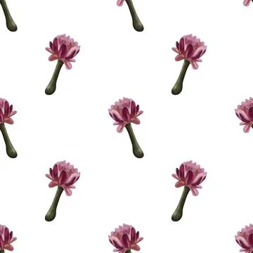 Watercolor seamless pattern cactus flowers. Wallpaper design Stock Illustration