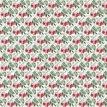 Watercolor seamless pattern with clusters, leaves and branches of mountain ash Stock Illustration
