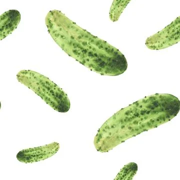 Watercolor seamless pattern of cucumber. Vegetable painted illustration of Stock Illustration