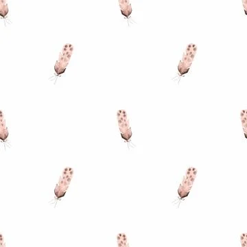 Watercolor seamless pattern with delicate feathers. cute boho pattern for Stock Illustration
