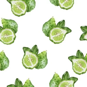 A Watercolor Seamless Pattern Design Featuring Freshly Bergamot and Vibrant Stock Illustration