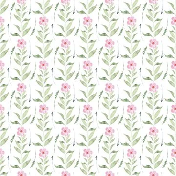 Watercolor seamless pattern drawing with branches and cherry blossoms Illustrazione stock