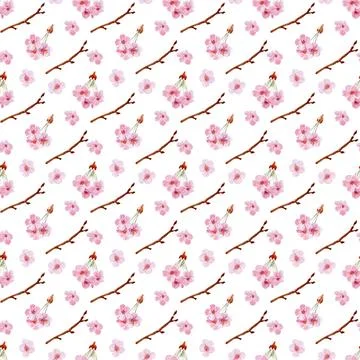 Watercolor seamless pattern drawing with branches and cherry blossoms Illustrazione stock