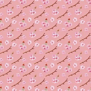 Watercolor seamless pattern drawing with branches and cherry blossoms Illustrazione stock
