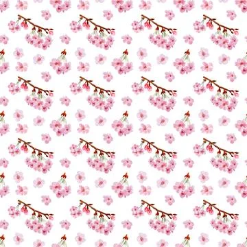 Watercolor seamless pattern drawing with branches and cherry blossoms Illustrazione stock