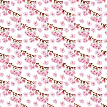 Watercolor seamless pattern drawing with branches and cherry blossoms Illustrazione stock