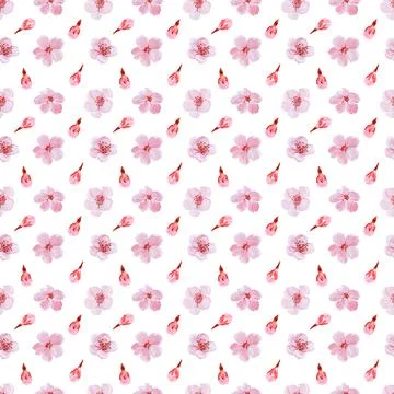 Watercolor seamless pattern drawing with branches and cherry blossoms Illustrazione stock