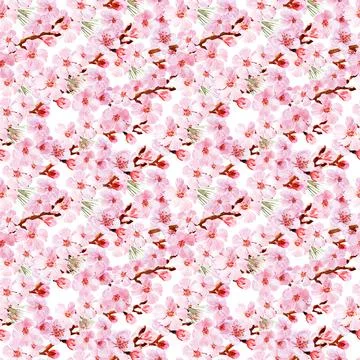 Watercolor seamless pattern drawing with branches and cherry blossoms 스톡 일러스트