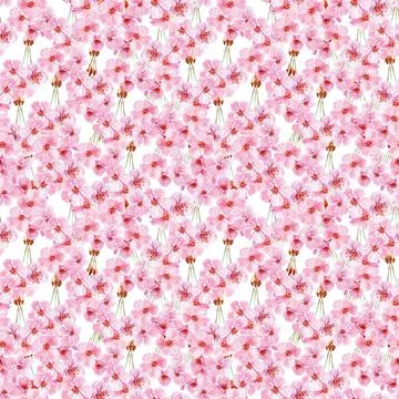 Watercolor seamless pattern drawing with branches and cherry blossoms Illustrazione stock