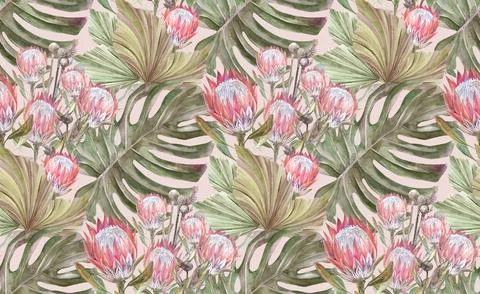 Watercolor seamless pattern with dried protea flowers and monstera leaves on a Stock Illustration