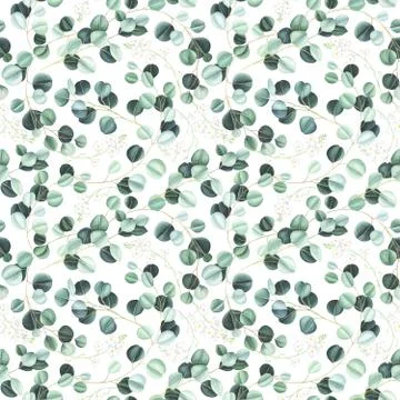 Watercolor seamless pattern with eucalyptus leaves and little white flowers. Stock Illustration