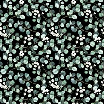 Watercolor seamless pattern with eucalyptus leaves and little white flowers. 스톡 일러스트