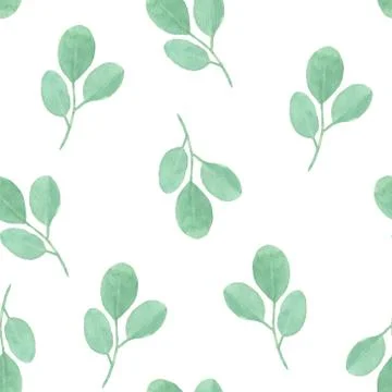 Watercolor seamless pattern with eucalyptus leaves on a white background Stock Illustration