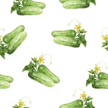 A Watercolor Seamless Pattern Featuring Fresh Cucumbers Accompanied by Vibrant Stock Illustration