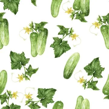 A Watercolor Seamless Pattern Featuring Fresh Cucumbers Accompanied by Vibrant Stock Illustration