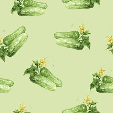 A Watercolor Seamless Pattern Featuring Fresh Cucumbers Accompanied by Vibrant Stock Illustration
