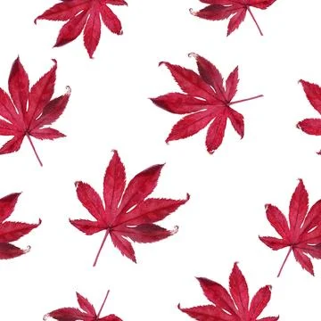 A watercolor seamless pattern featuring vibrant Red Maple Leaves beautifully Illustrazione stock