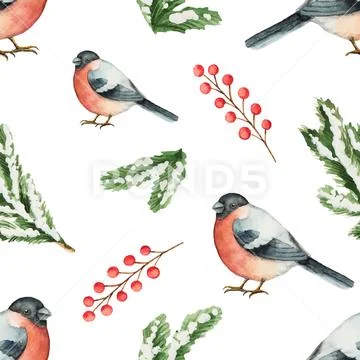 Watercolor seamless pattern with fir branches and bullfinch. Stock Illustration