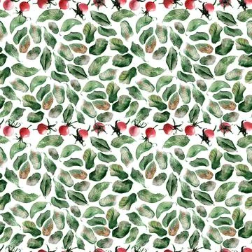 Watercolor seamless pattern with flowering branches, leaves and rosehip fruits Stock Illustration