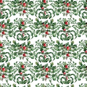 Watercolor seamless pattern with flowering branches, leaves and rosehip fruits Stock Illustration