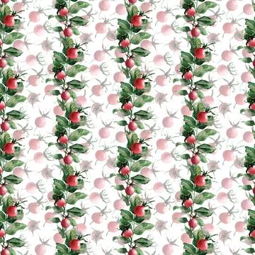 Watercolor seamless pattern with flowering branches, leaves and rosehip fruits Stock Illustration