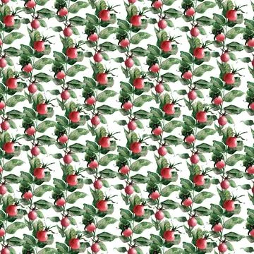 Watercolor seamless pattern with flowering branches, leaves and rosehip fruits Stock Illustration