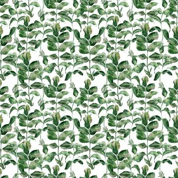 Watercolor seamless pattern with flowering branches, leaves and rosehip fruits Stock Illustration